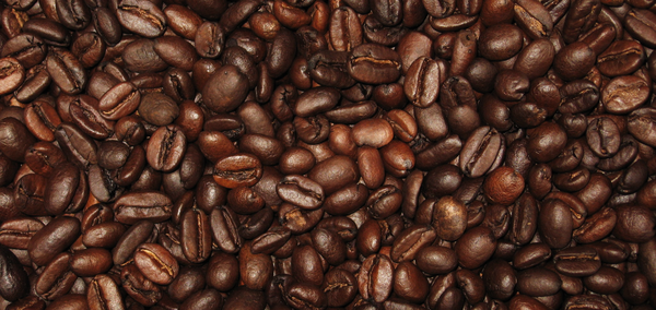 coffee_bean.png