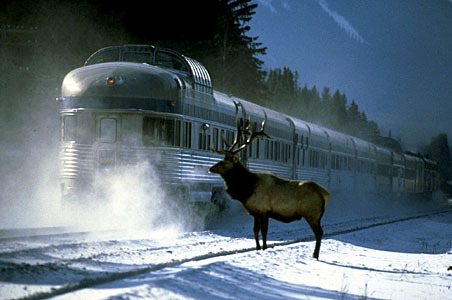 The Canadian