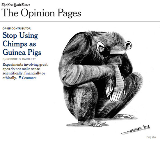 screenshot-nyt.jpg